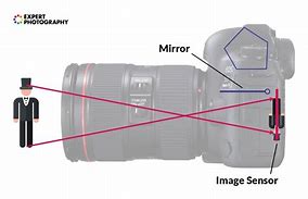 Image result for Camera Lens Anatomy