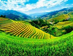Image result for Vietnam Scenery