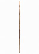 Image result for Silambam Stick