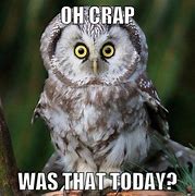 Image result for Owl Text Message Funny