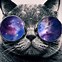 Image result for Otto Cat Galaxy