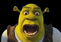 Image result for Shrek Meme Photo