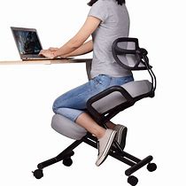 Image result for Ergonomic Chair Back Support