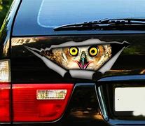 Image result for Owl Stickers for Car