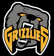 Image result for Memphis Grizzlies Gold and Black Logo