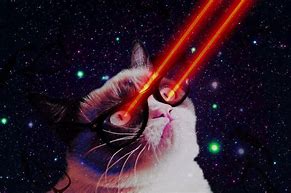 Image result for Hipster Cat in Space