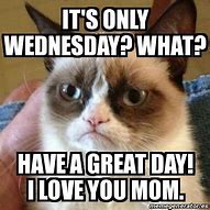 Image result for Grumpy Cat Wednesday Meme