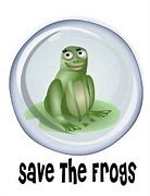 Image result for Memes About Frogs