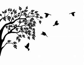 Image result for Birds On Trees Wallpaper