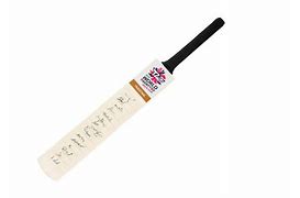 Image result for Pakistan Cricket Bat