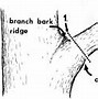 Image result for Part Chain Saw