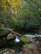 Image result for Stepping Stones Northern Ireland