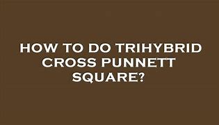 Image result for Trihybrid Cross Punnett Square