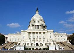 Image result for White House Capitol Building