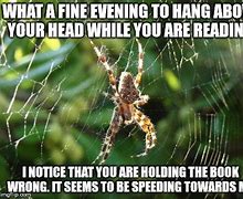 Image result for iPhone 10 Spider Meme