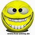 Image result for Free Animated Emoticons MSN