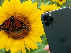 Image result for Colors of iPhone 12 Pro Max 256G