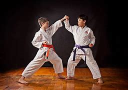 Image result for Different Karate Styles