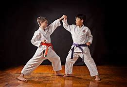 Image result for martial arts sparring