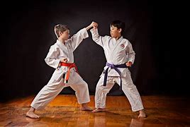 Image result for Martial Arts Karate