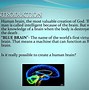 Image result for The Pull Blue Brain