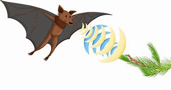 Image result for Bat Echolocation Cartoon