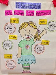 Image result for Five Senses Anchor Chart Kindergarten