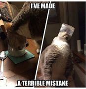 Image result for Fuunny Mistakes Memes