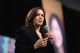 Image result for Kamala Harris Official Portrait