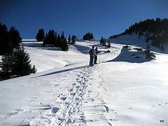 Image result for Landschaft Februar