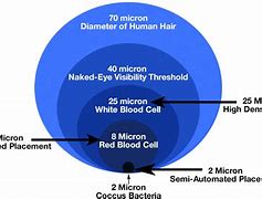 Image result for Is a Micron a Micrometer