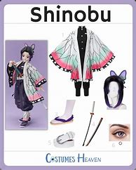 Image result for Sinobu Costume Vector