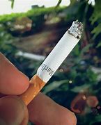 Image result for cigarrillo
