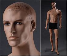 Image result for Male Mannequin with Bluldge