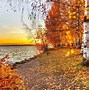 Image result for FALL SENERY