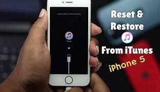 Image result for Reset My iPhone 5