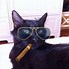 Image result for Rich Cat Meme