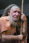 Image result for Uomo Di Neanderthal