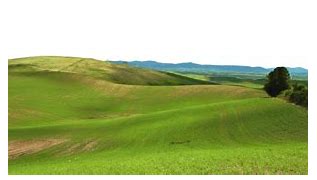 Image result for iPhone 8 PNG Landscape