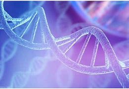 Image result for 12 Strand DNA Activation