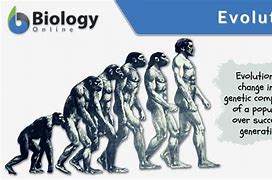 Image result for The Evolution Theory