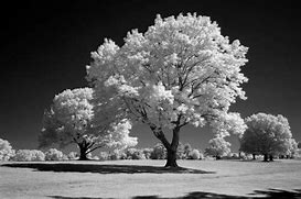 Image result for iPhone Front Camera Infrared Filter 720