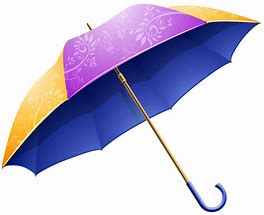 Image result for Transparent Umbrella
