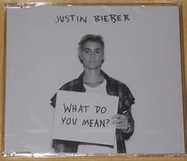 Image result for What Do You Mean Justin Bieber Art