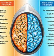 Image result for Memory Brain Function