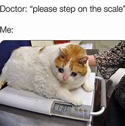 Image result for Chonker Meme