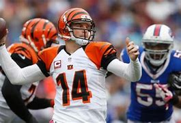 Image result for Bengals Memes