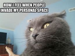 Image result for Personal Space Animal Memes