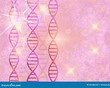 Image result for مكونات DNA