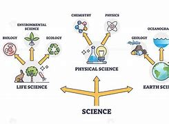 Image result for Branches of Science Outline